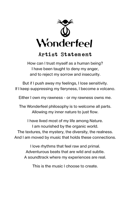 Wonderfeel Artist Statement